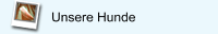 Unsere Hunde