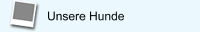 Unsere Hunde