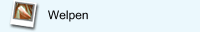Welpen