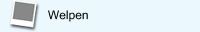 Welpen